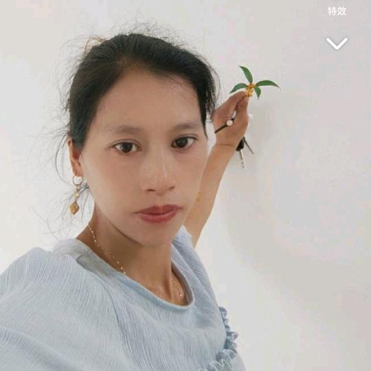 张二妹