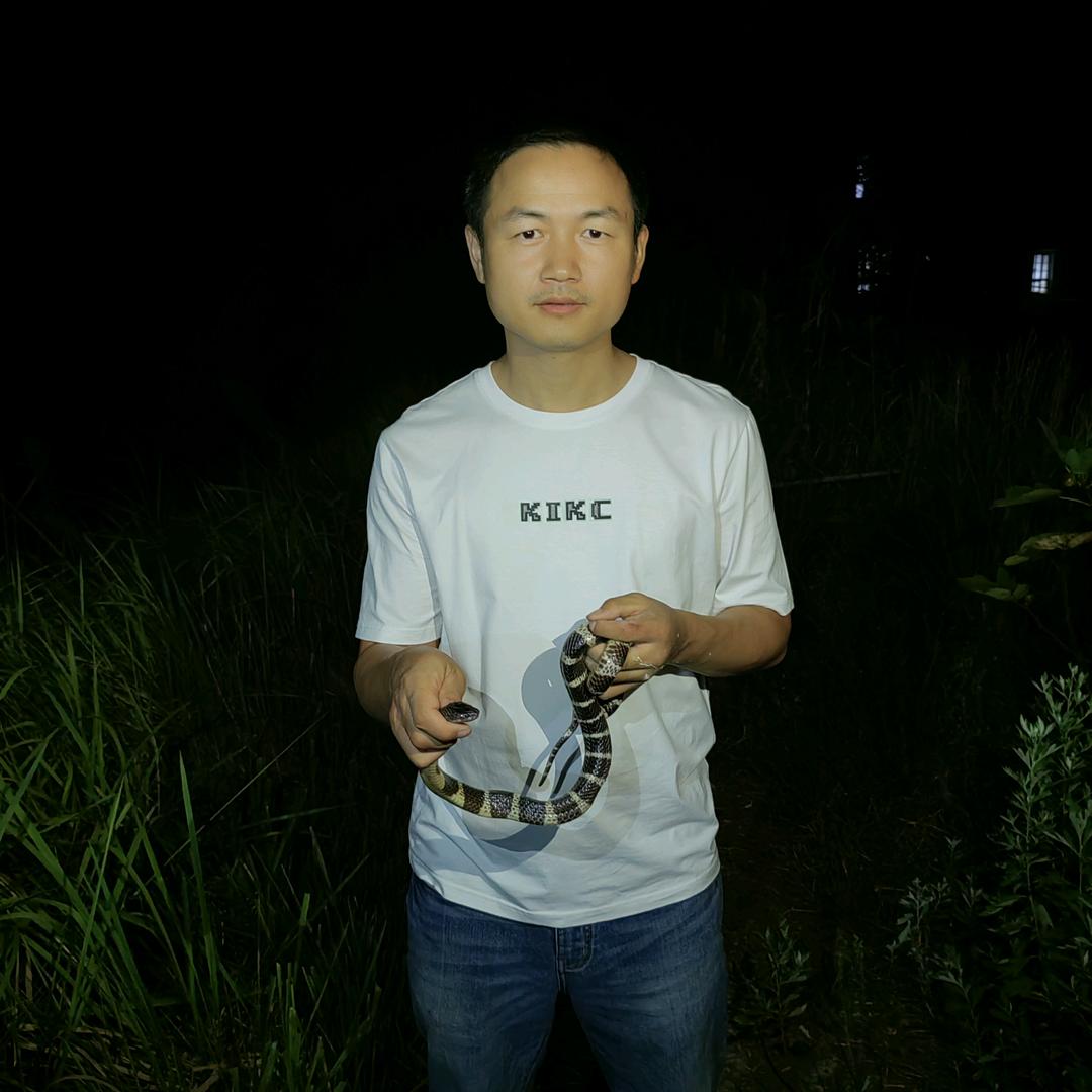 湘潭蛇王
