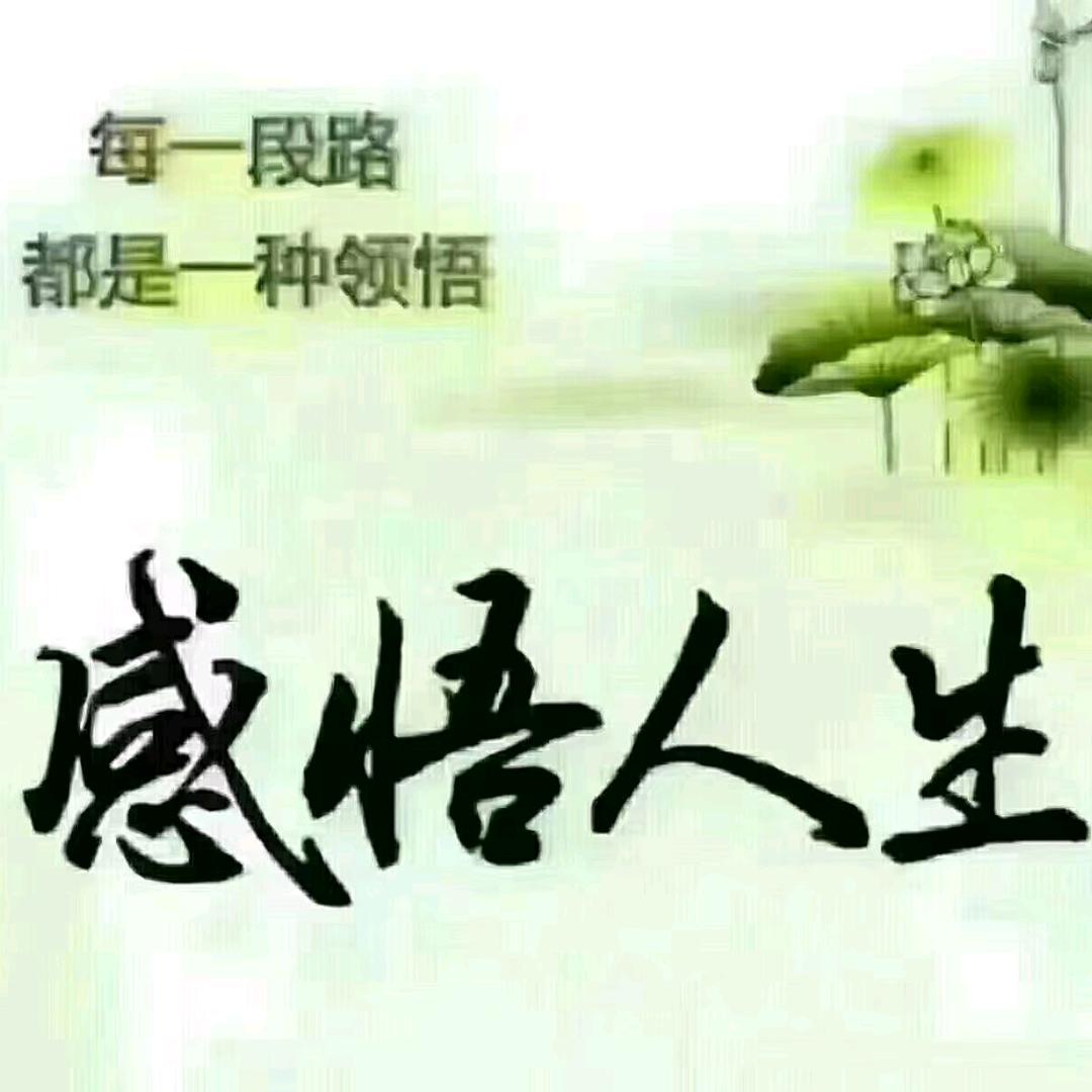 岁月静好%