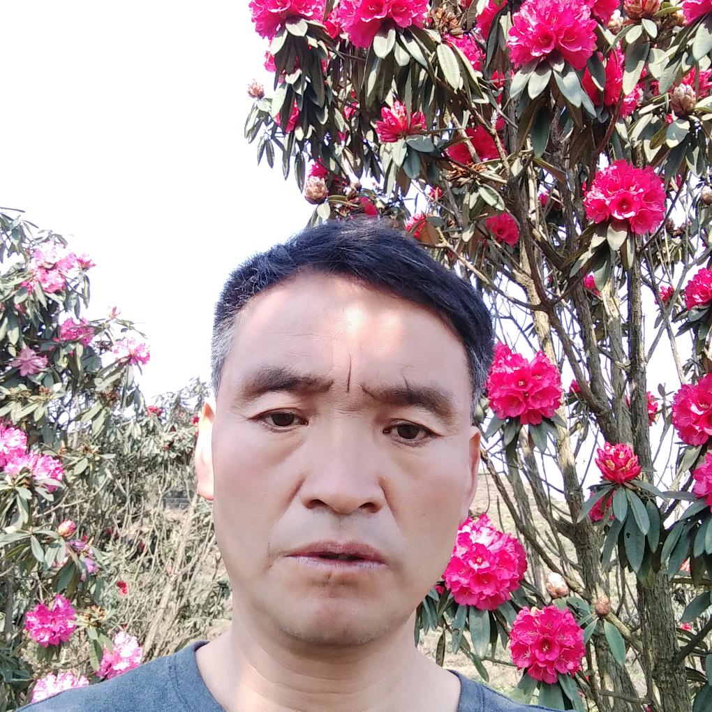 陈幺哥