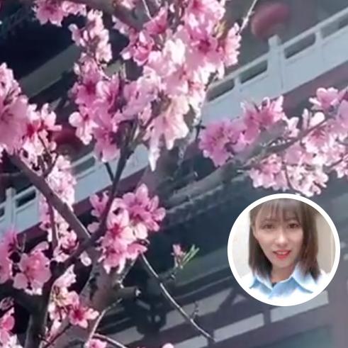 w小桥流水人家