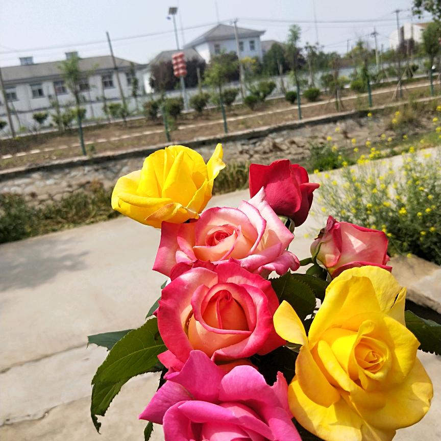 🌈开心快乐🌈