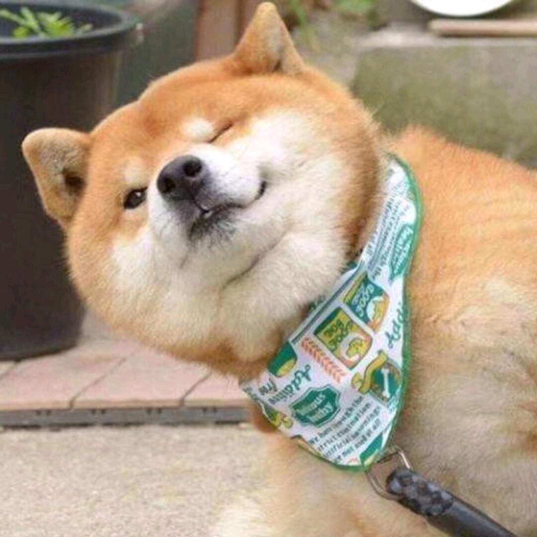 尘封な