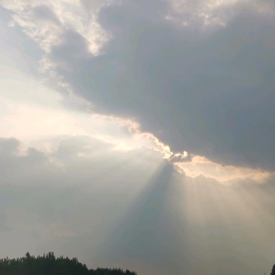 榴莲