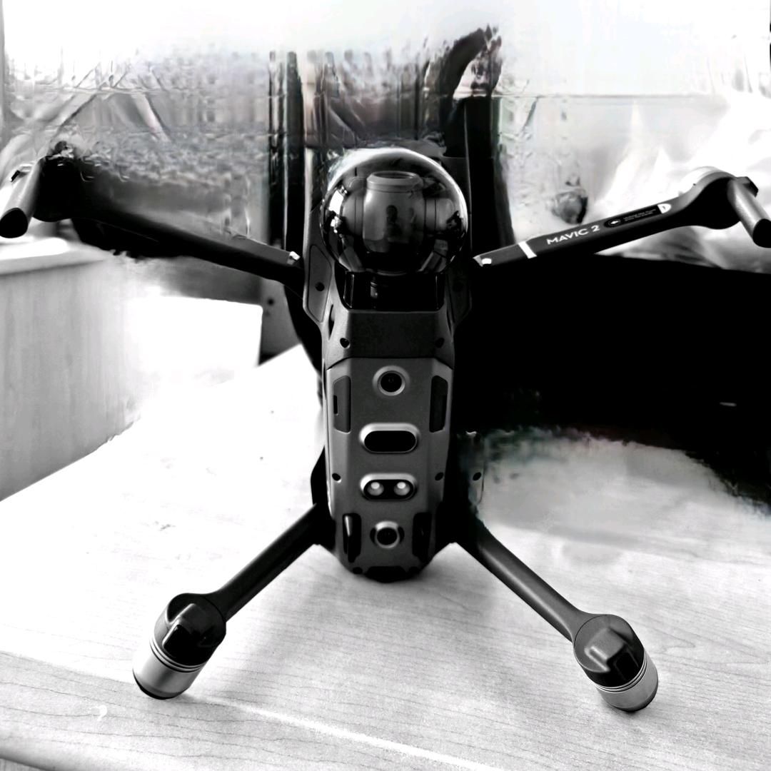 跃跃