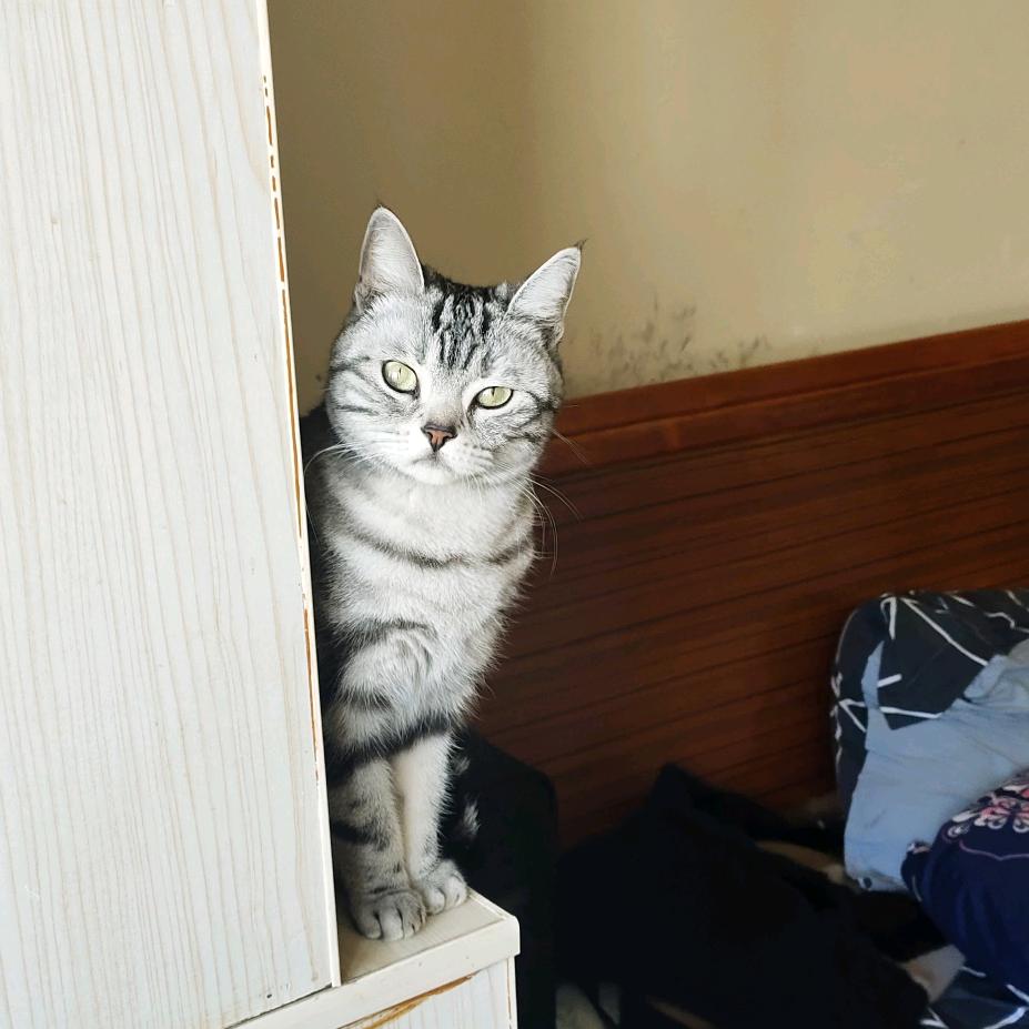 北海北边有个海