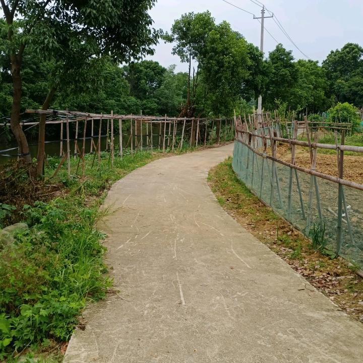 老夫老妻私房菜