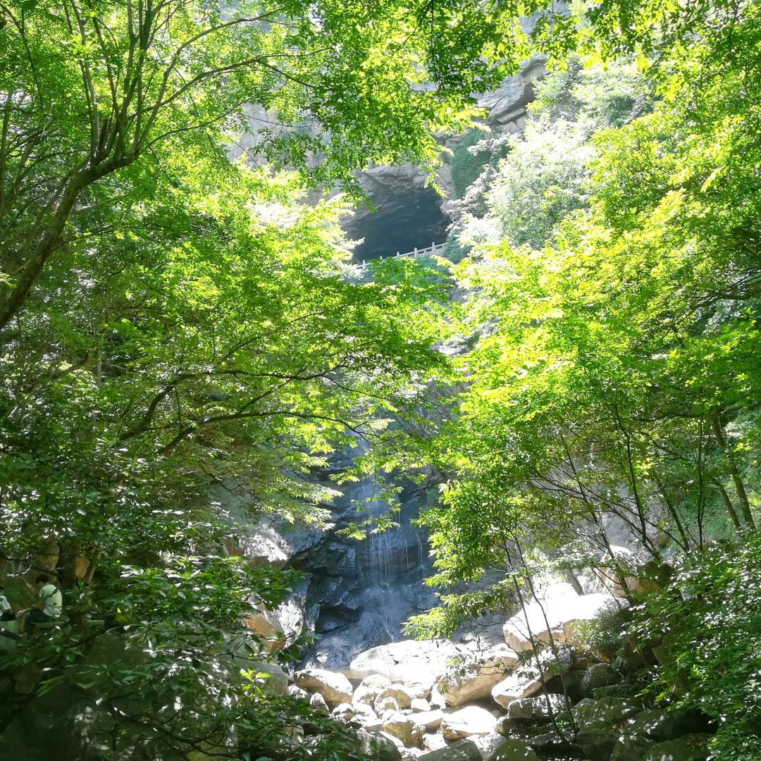 来交个朋友呗