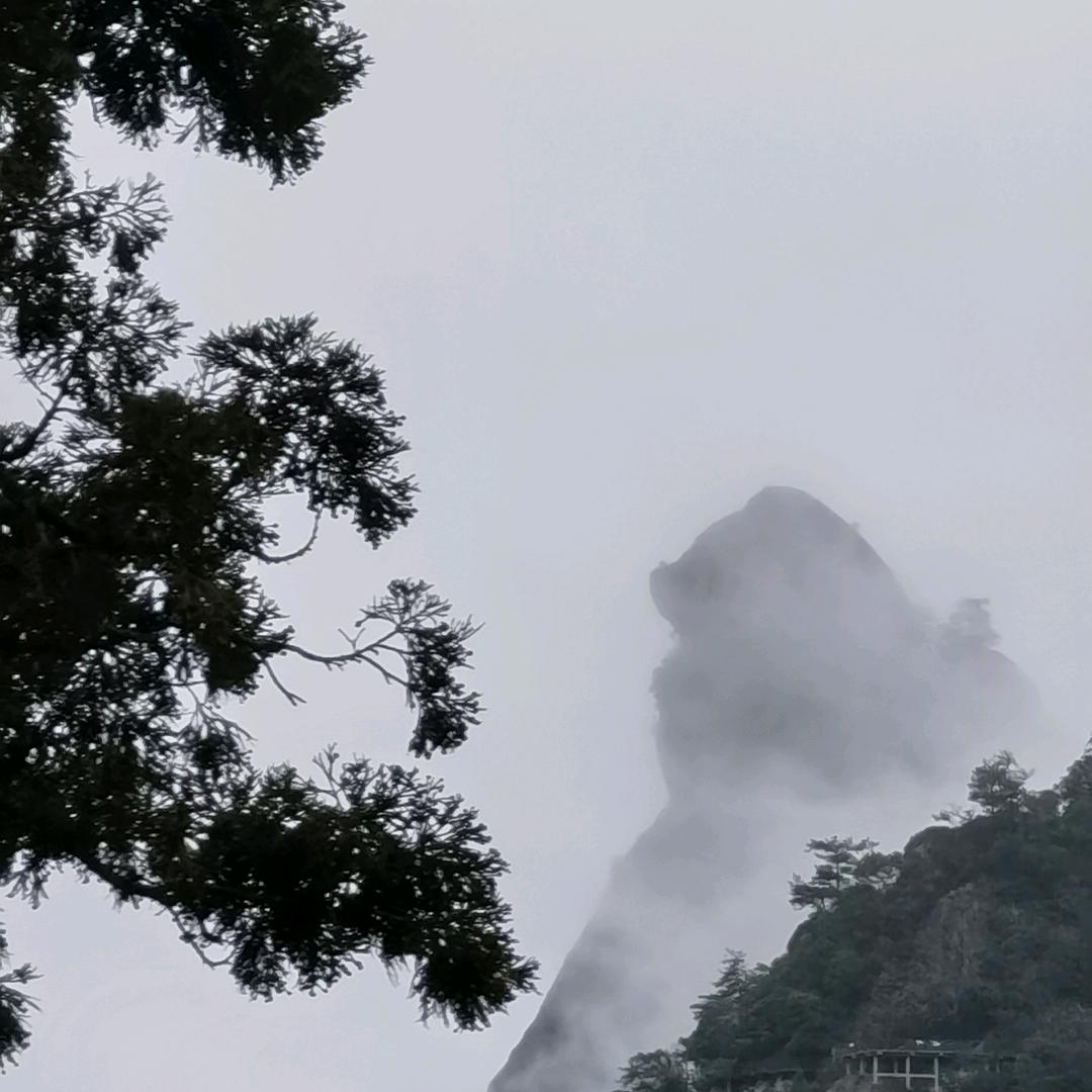 是开心的锦鲤呀