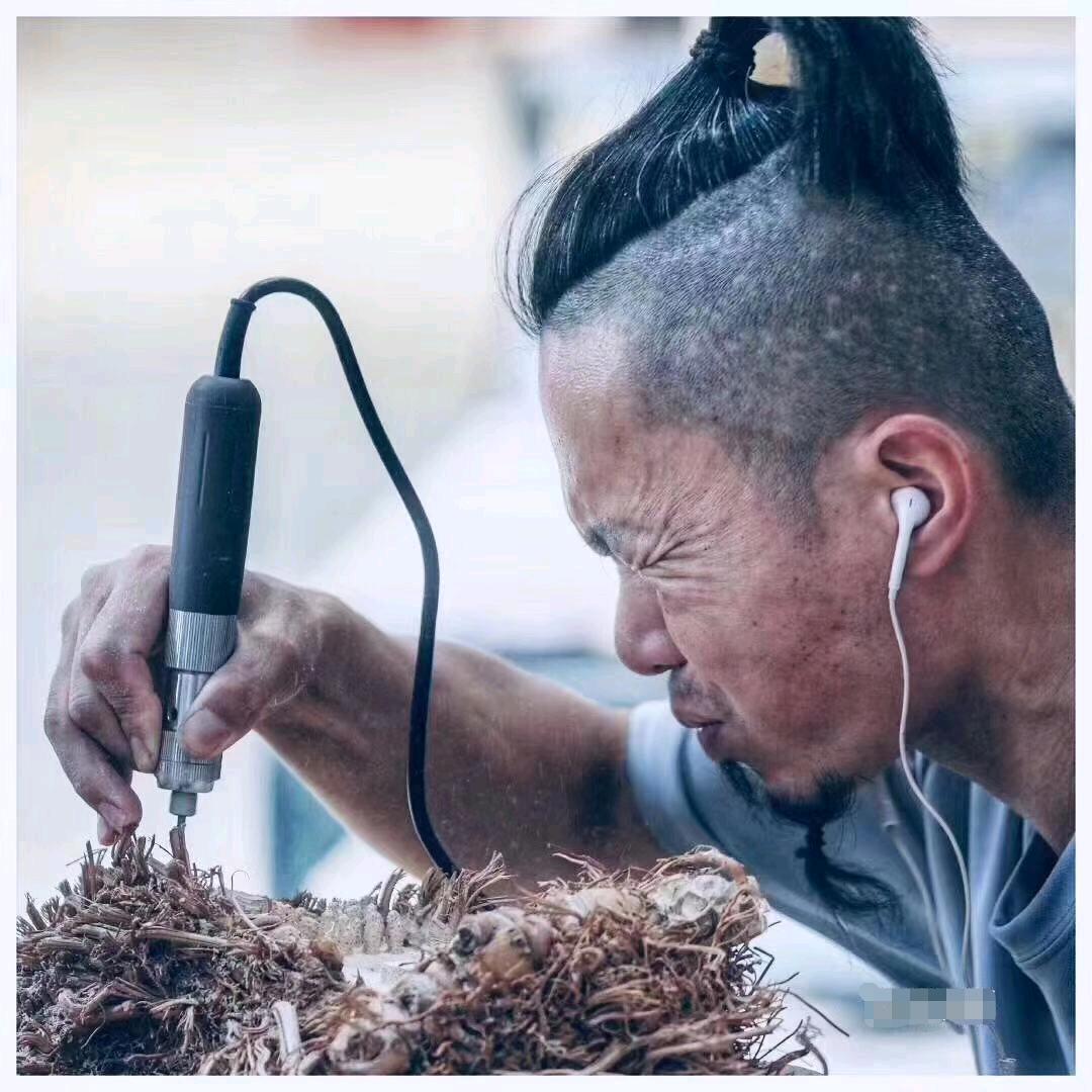 遇木鸽文玩