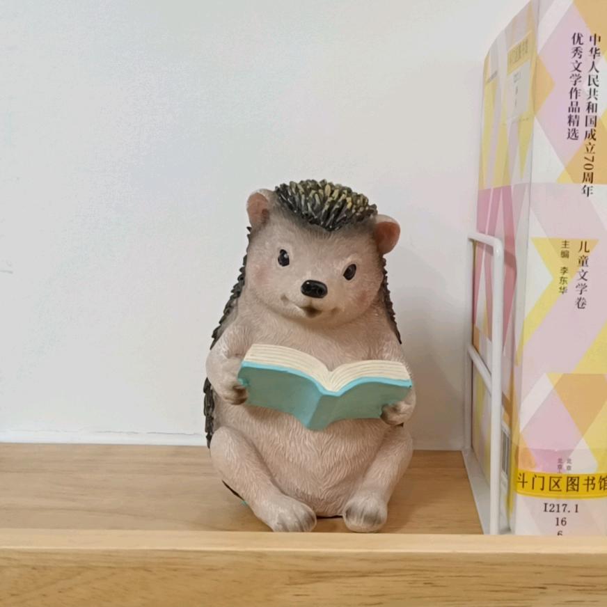 🧚‍♂️冬日暖阳🧚‍♂️