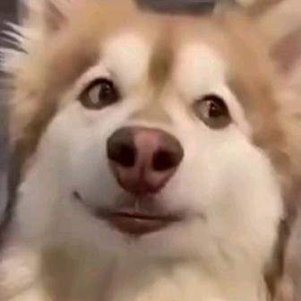 嫩爹