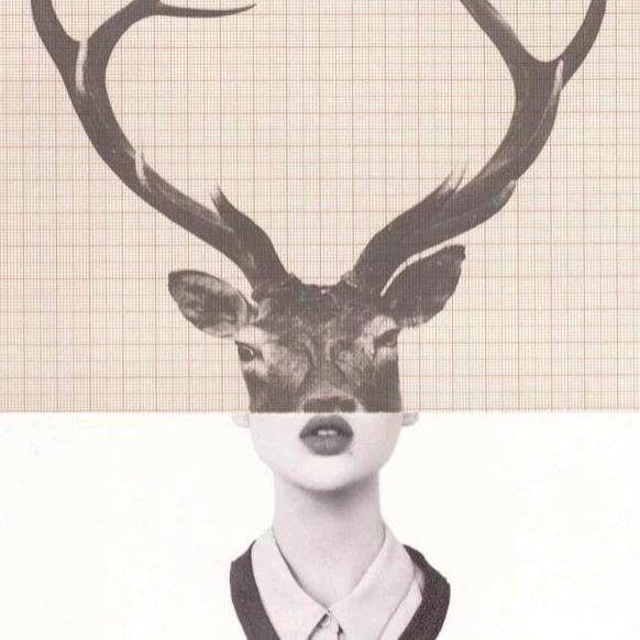 白老师是个呆？