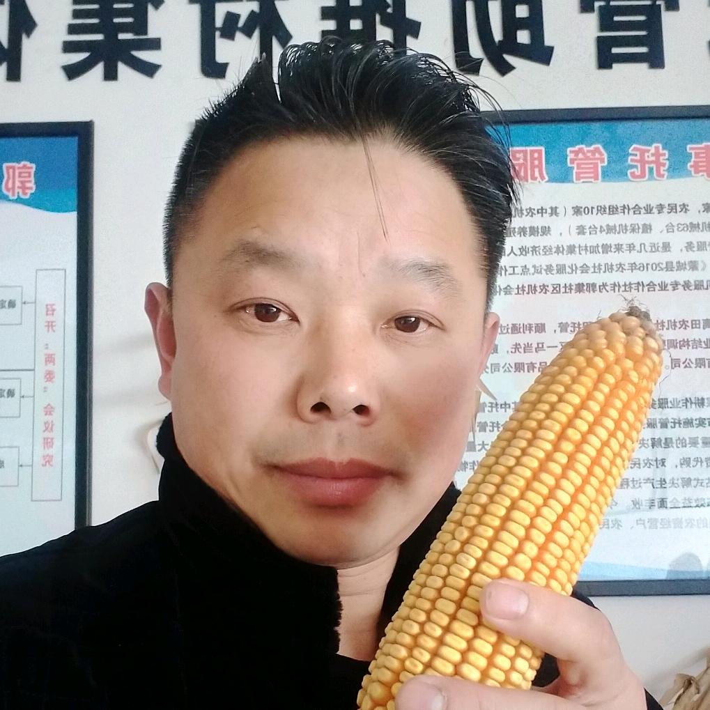 杨亮