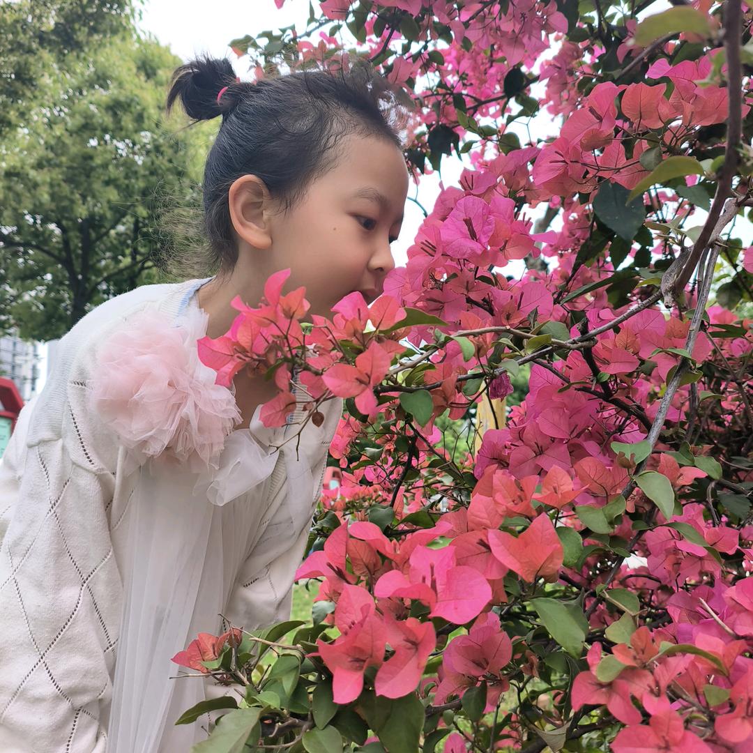 诺拉Nora
