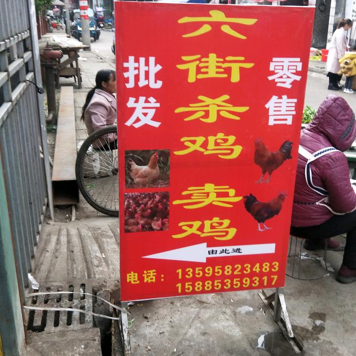 六街农贸市场杀鸡卖鸡