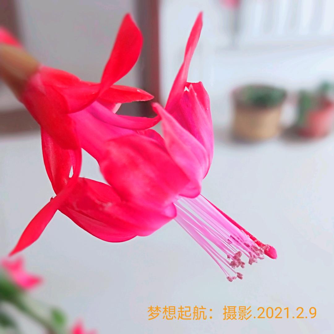 大兴工程机械