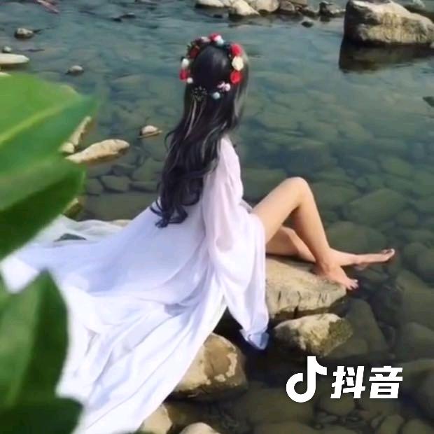聂聂