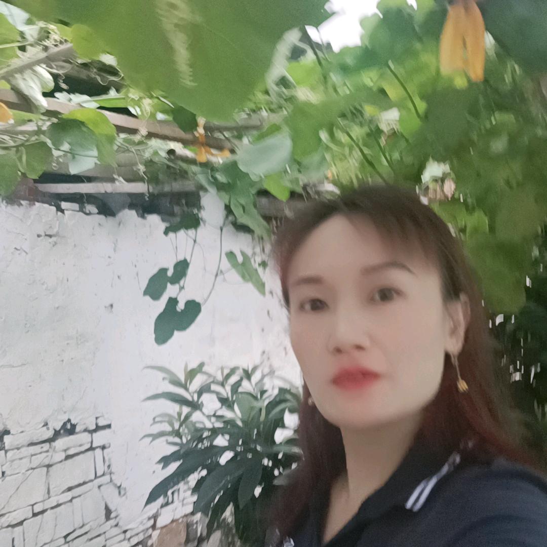 芬芳优雅