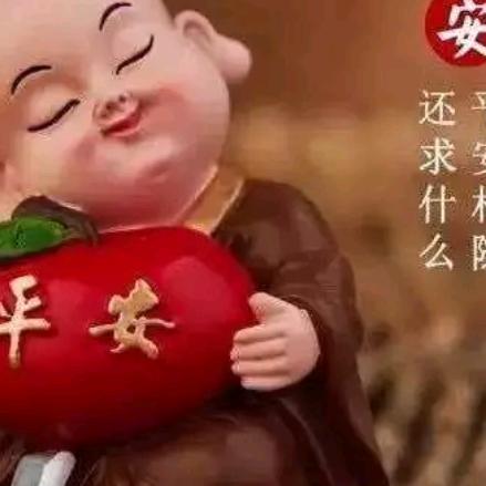 zou椿沣