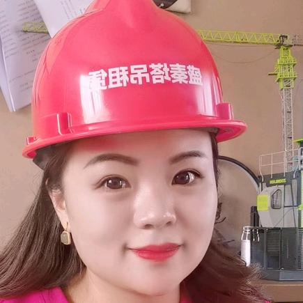 贵州盛秦塔吊电梯租赁