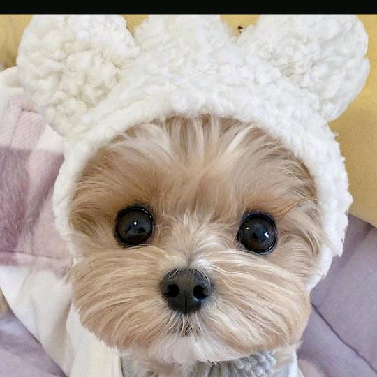 宝  摄影～～～