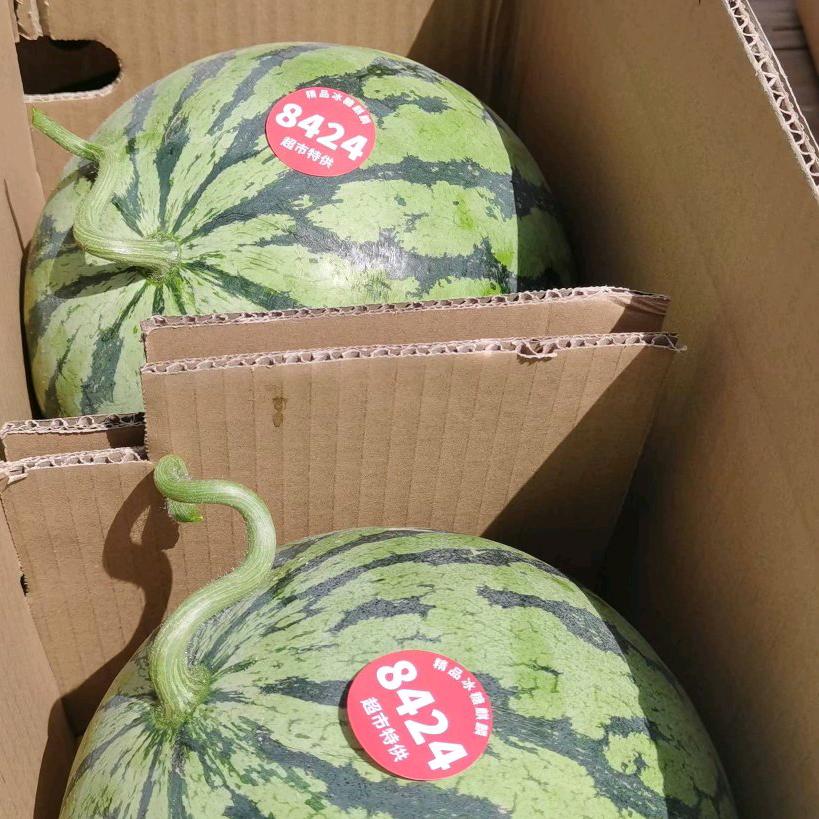 中原果业