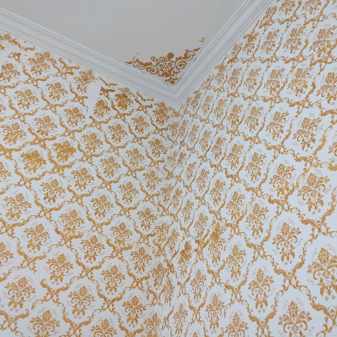 感恩宇宙