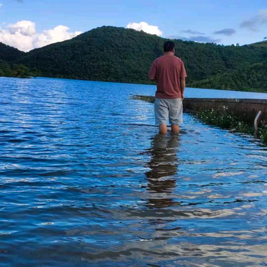 手机用户78660361334