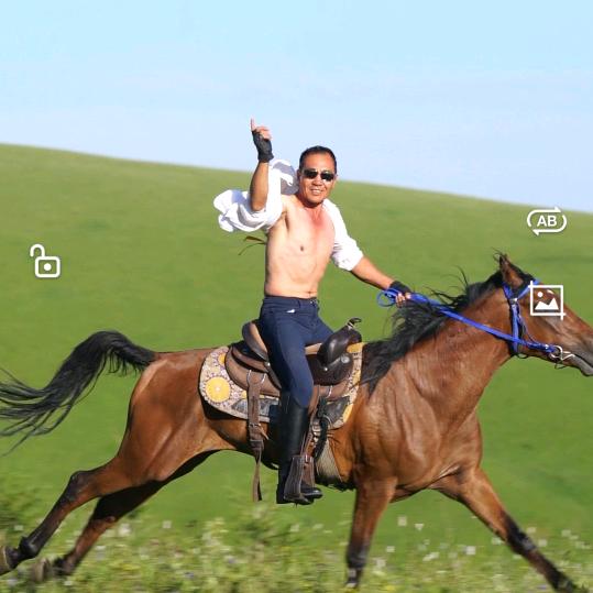杨杨自得