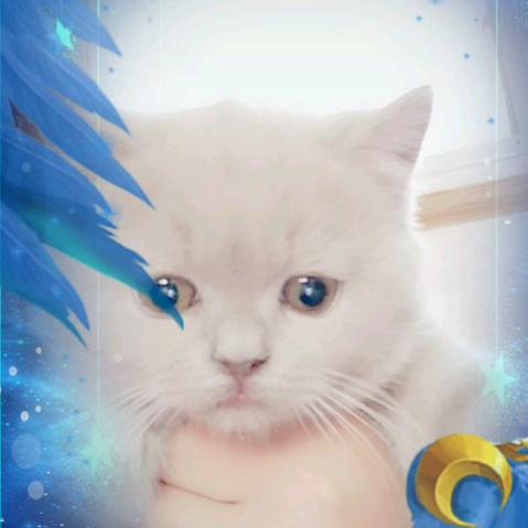 随遇而安@18，，，