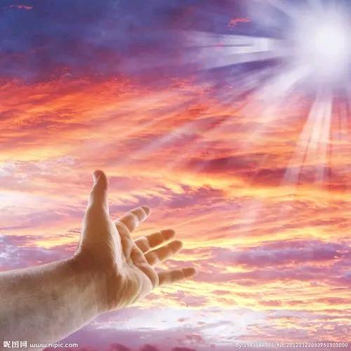 夏木与森中医养生
