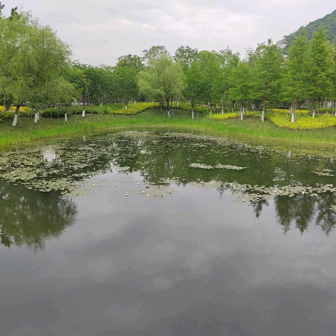 红绿蓝