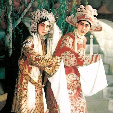 龙伯伯