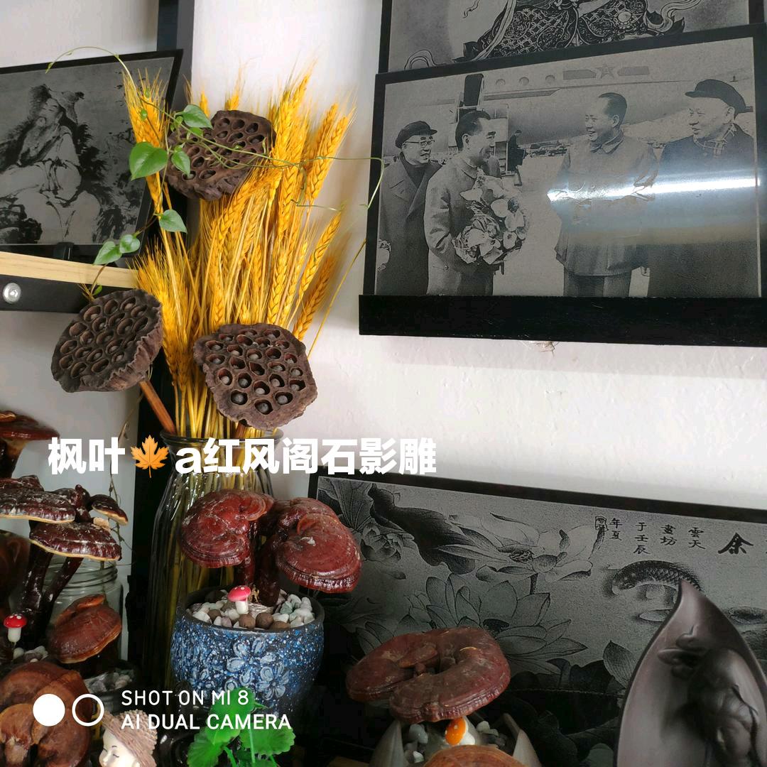 枫叶🍁红风阁石影雕