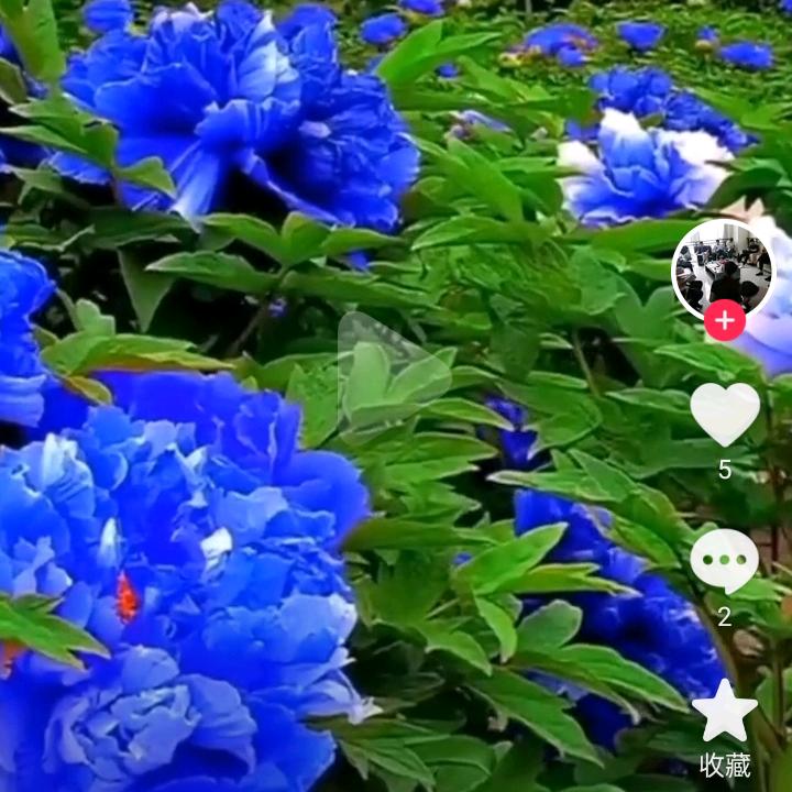 看雨听风