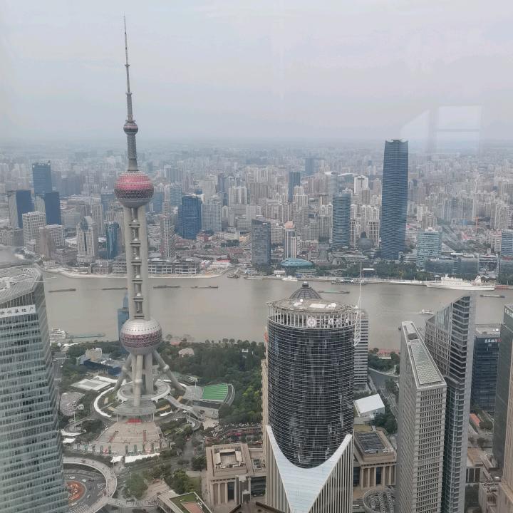 美业晴晴子