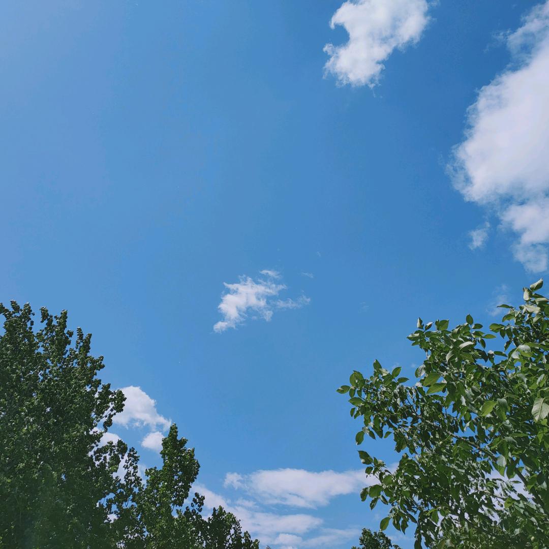 朱班长