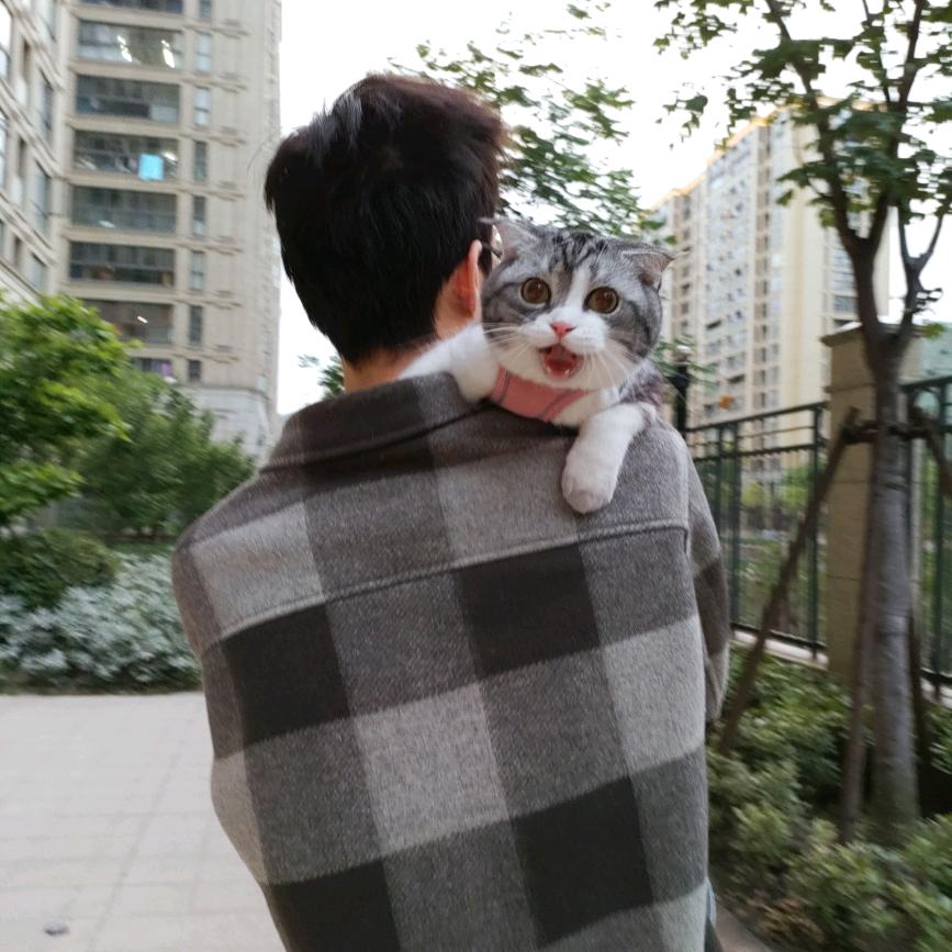 小乖麻麻的生活日记