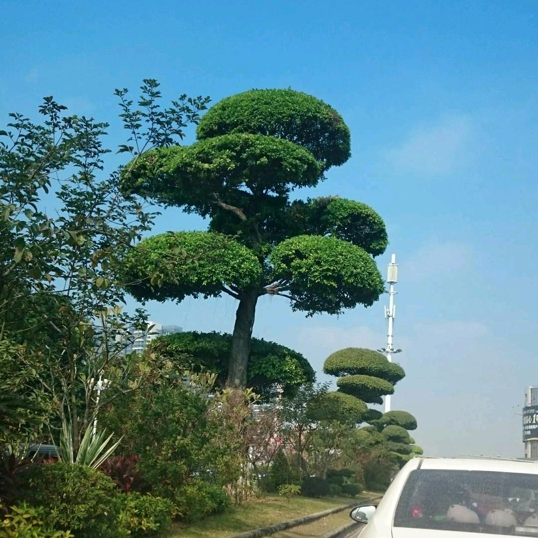 伟小宝🌈