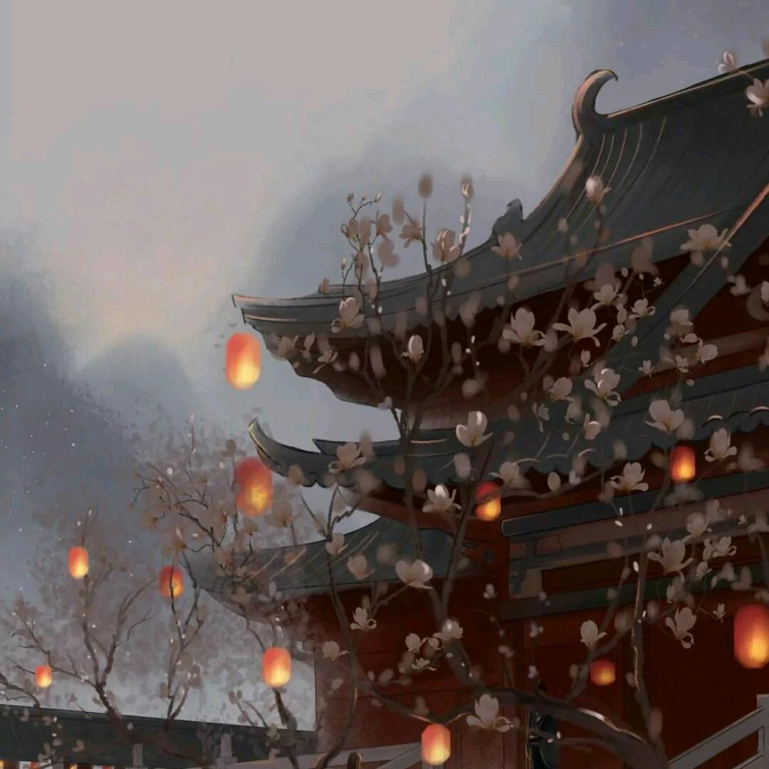 qxdlsr