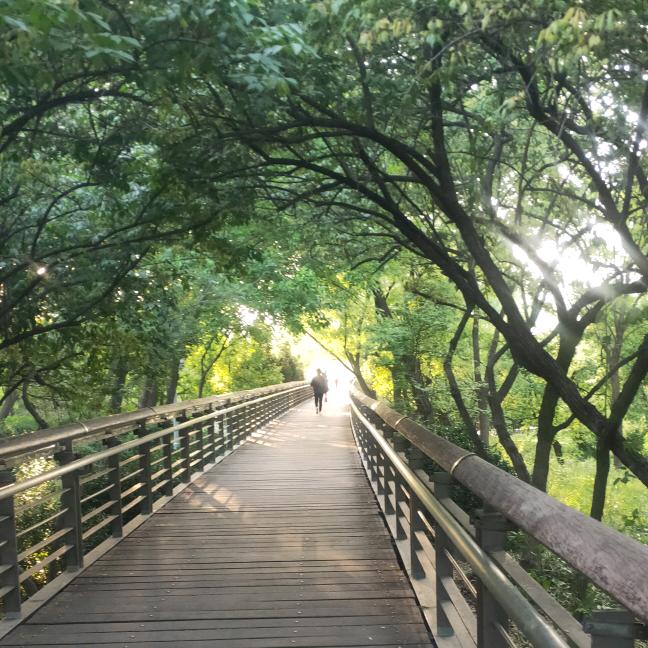 人在旅途📶⁶ᴳ