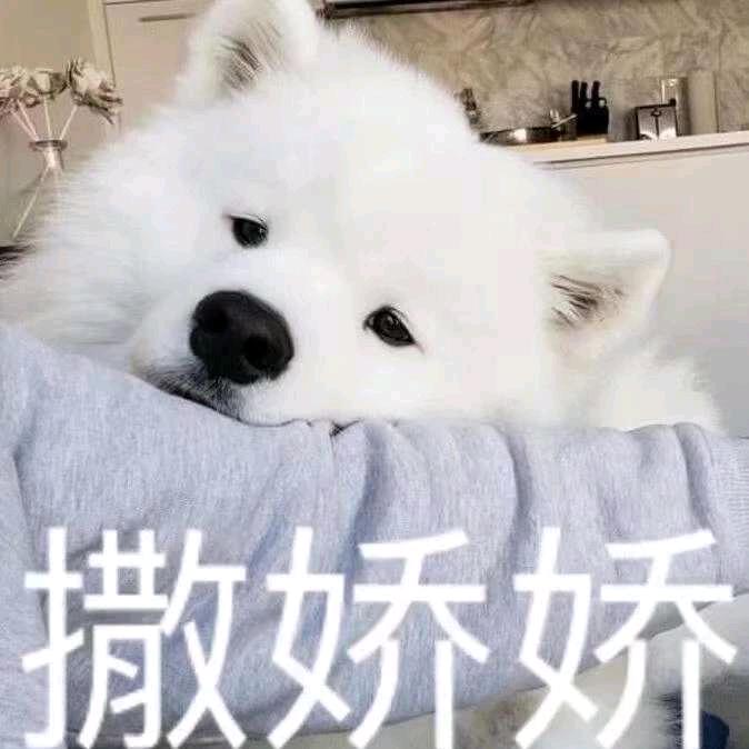 春意知几许uuu
