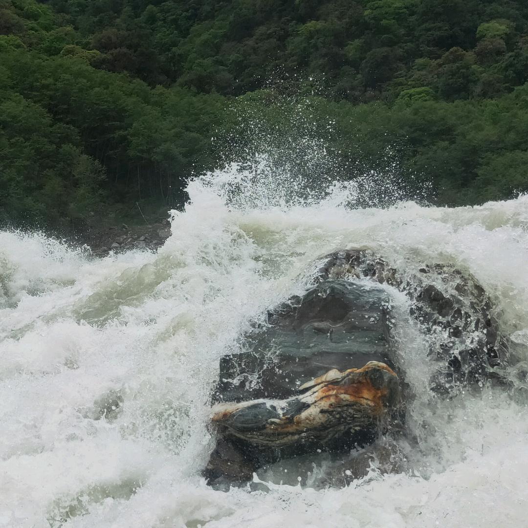 ༺吾✨ang𝒜𝓌王✌