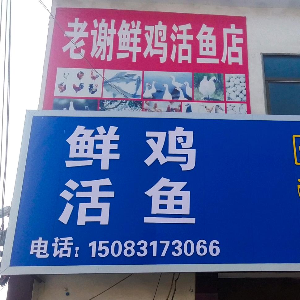 老张的日常生活