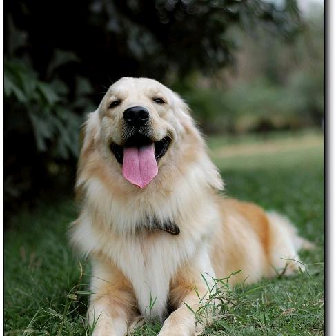 未来应该可期吧