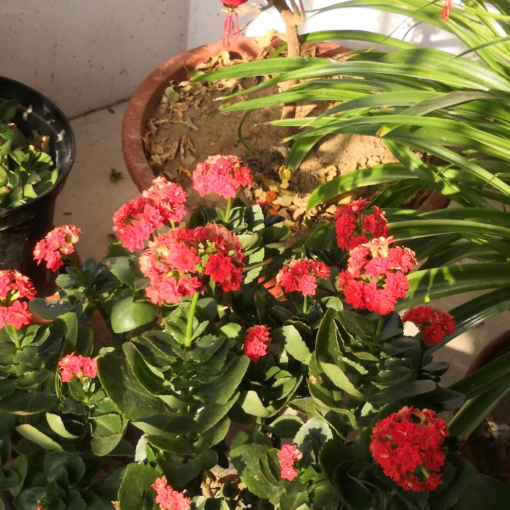 莫名的青春