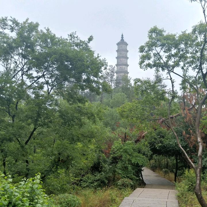 夏日清禾&