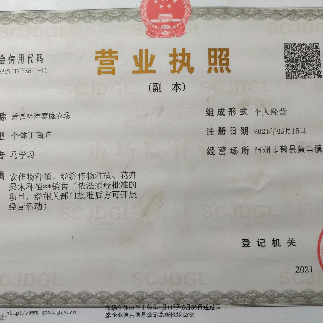 安徽宿州梓洋家庭农场