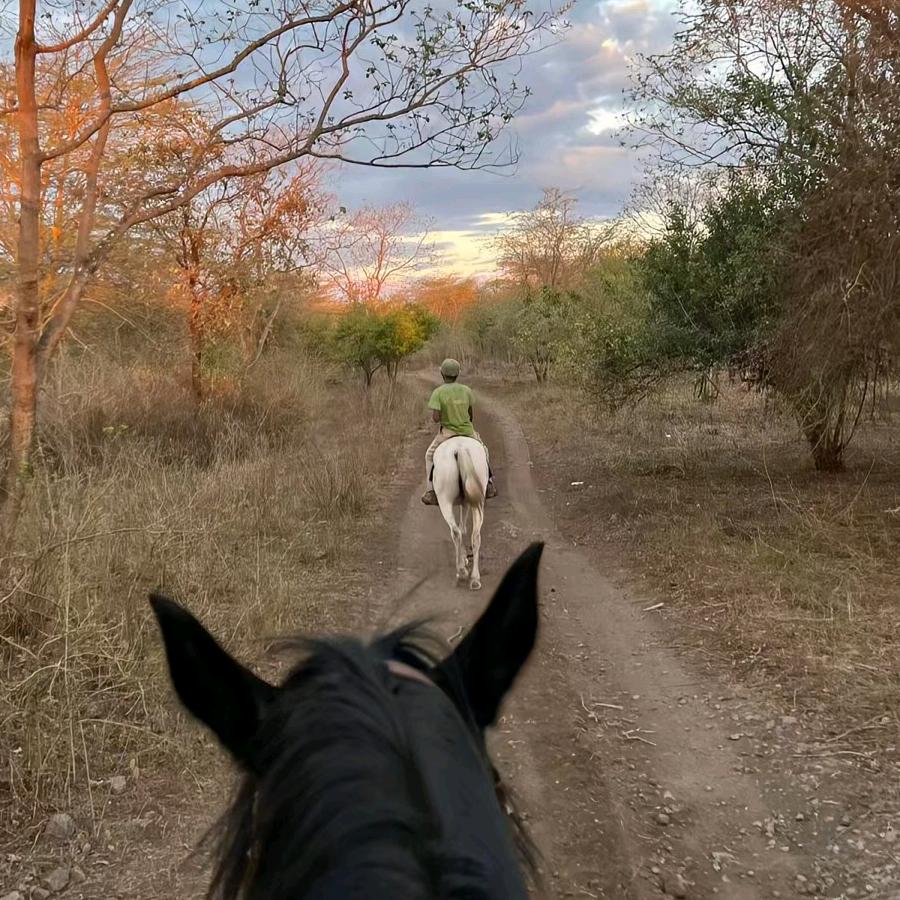 河北单招大实话